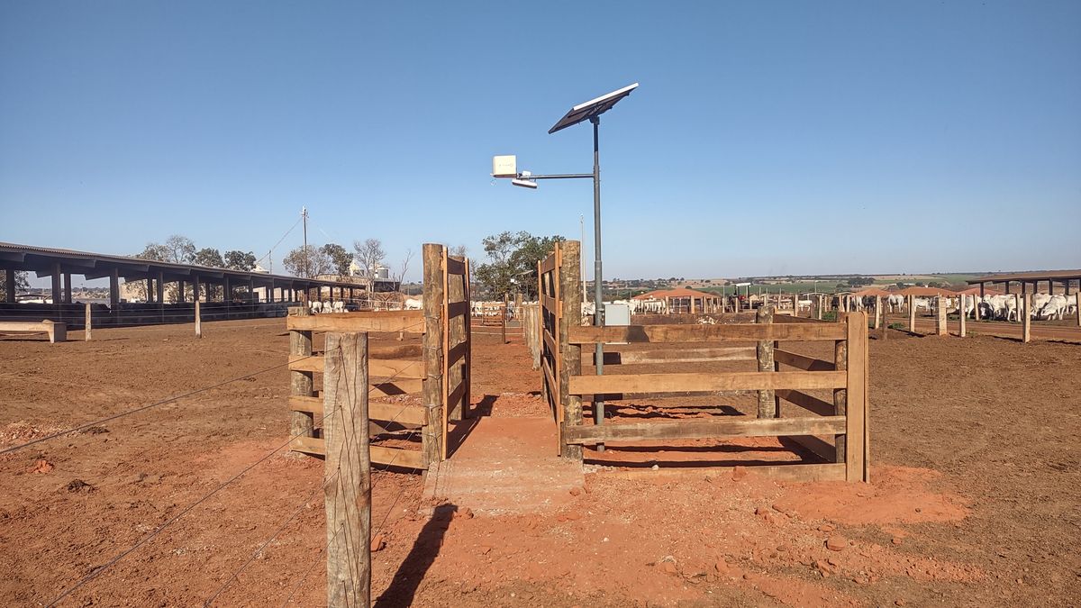 Equipamento do PesaGado com painel solar instalado no caminho dos animais em um confinamento
