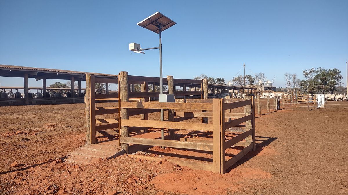 Estrutura do PesaGado com câmera e painel solar sobre o corredor de passagem dos bovinos